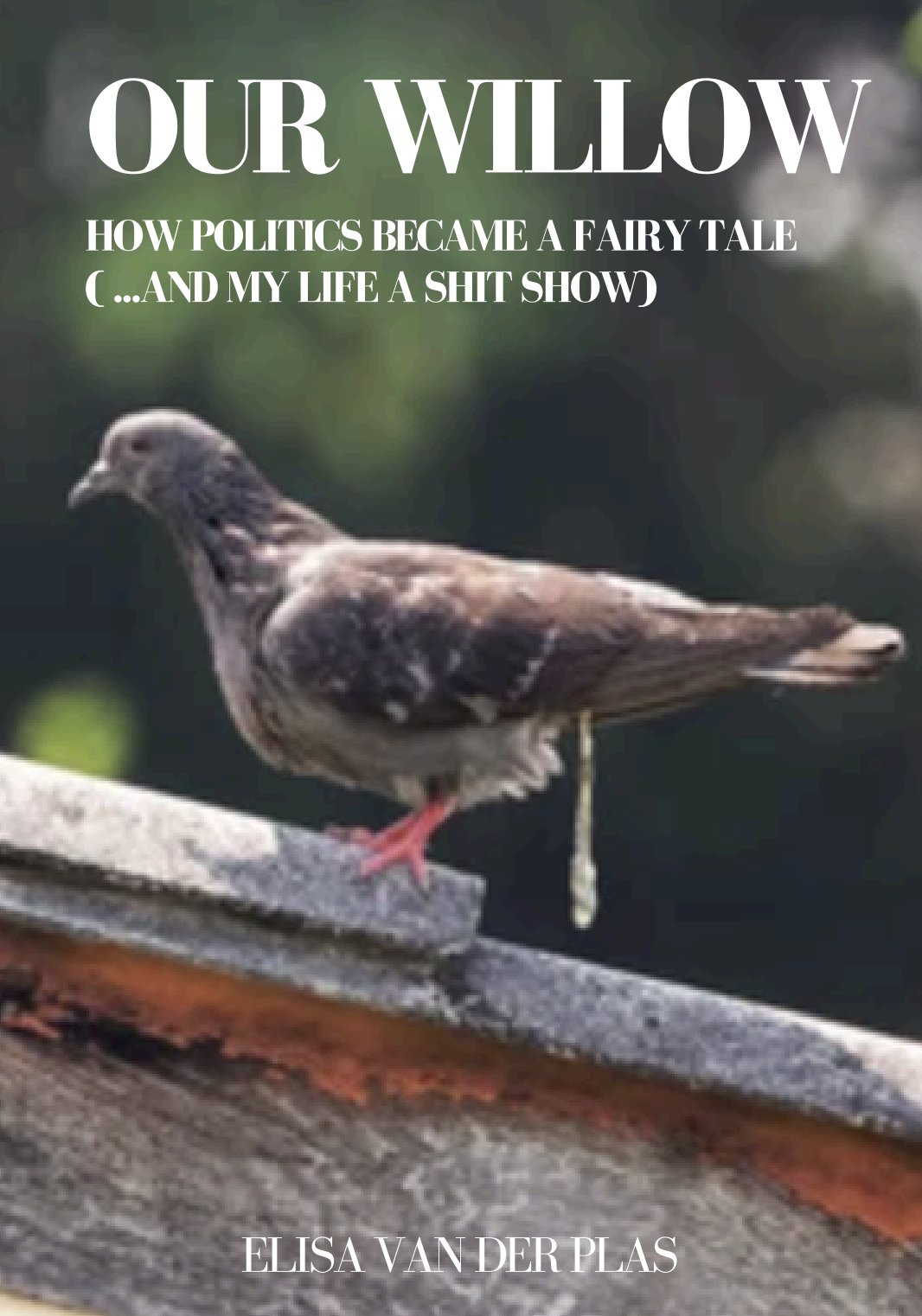 Our Willow - Front Cover